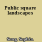 Public square landscapes