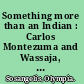 Something more than an Indian : Carlos Montezuma and Wassaja, the dual indentity of an assimilationist and Indian rights activist /