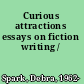 Curious attractions essays on fiction writing /