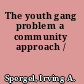The youth gang problem a community approach /