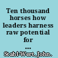 Ten thousand horses how leaders harness raw potential for extraordinary results /