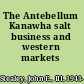 The Antebellum Kanawha salt business and western markets /