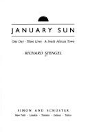 January sun : one day, three lives, a South African town /