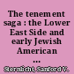 The tenement saga : the Lower East Side and early Jewish American writers /