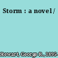 Storm : a novel /