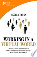 STTS : working in a virtual world /