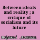 Between ideals and reality ; a critique of socialism and its future /