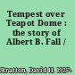Tempest over Teapot Dome : the story of Albert B. Fall /