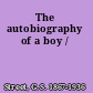 The autobiography of a boy /