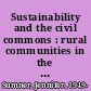 Sustainability and the civil commons : rural communities in the age of globalization /