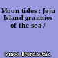 Moon tides : Jeju Island grannies of the sea /