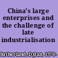 China's large enterprises and the challenge of late industrialisation