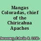 Mangas Coloradas, chief of the Chiricahua Apaches /