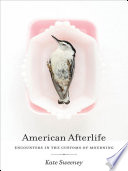 American afterlife : encounters in the customs of mourning /