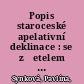 Popis staroceské apelativní deklinace : se zřetelem k automatické morfologické analýze textů Staročeské textové banky /