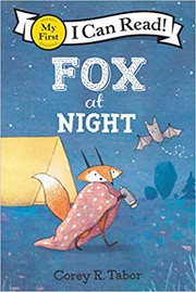 Fox at night /