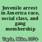 Juvenile arrest in America race, social class, and gang membership /
