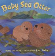 Baby sea otter /