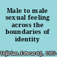 Male to male sexual feeling across the boundaries of identity /