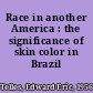 Race in another America : the significance of skin color in Brazil /