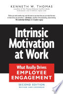 Intrinsic motivation at work what really drives employee engagement /