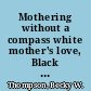 Mothering without a compass white mother's love, Black son's courage /