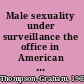 Male sexuality under surveillance the office in American literature /