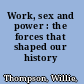 Work, sex and power : the forces that shaped our history /