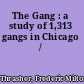 The Gang : a study of 1,313 gangs in Chicago /