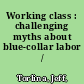 Working class : challenging myths about blue-collar labor /