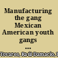 Manufacturing the gang Mexican American youth gangs on local television news /