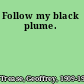 Follow my black plume.