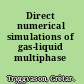Direct numerical simulations of gas-liquid multiphase flows