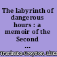 The labyrinth of dangerous hours : a memoir of the Second World War /