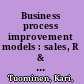 Business process improvement models : sales, R & D and delivery /