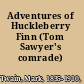 Adventures of Huckleberry Finn (Tom Sawyer's comrade) /