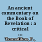 An ancient commentary on the Book of Revelation : a critical edition of the Scholia in apocalypsin /