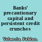 Banks' precautionary capital and persistent credit crunches /