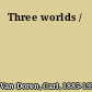 Three worlds /