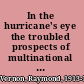 In the hurricane's eye the troubled prospects of multinational enterprises /