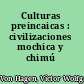 Culturas preincaicas : civilizaciones mochica y chimú /