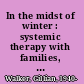 In the midst of winter : systemic therapy with families, couples, and individuals with AIDS infection /