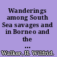 Wanderings among South Sea savages and in Borneo and the Philippines /