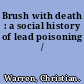 Brush with death : a social history of lead poisoning /