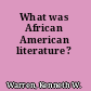 What was African American literature?