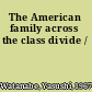 The American family across the class divide /
