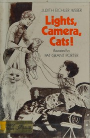 Lights, camera, cats! /