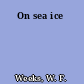 On sea ice