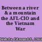 Between a river & a mountain the AFL-CIO and the Vietnam War /