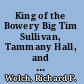 King of the Bowery Big Tim Sullivan, Tammany Hall, and New York City from the Gilded Age to the Progressive Era /